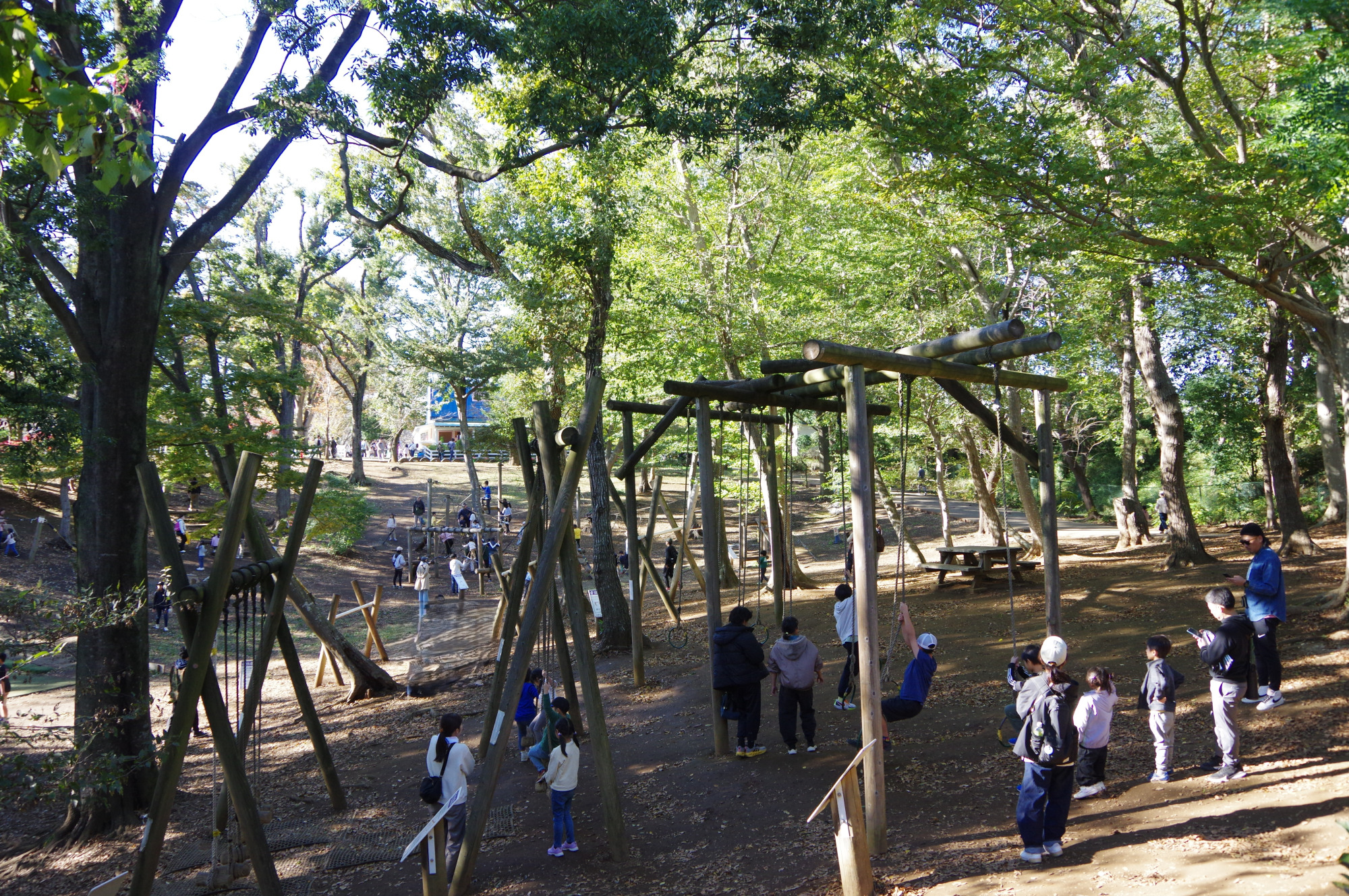 自然の中で体を動かせます