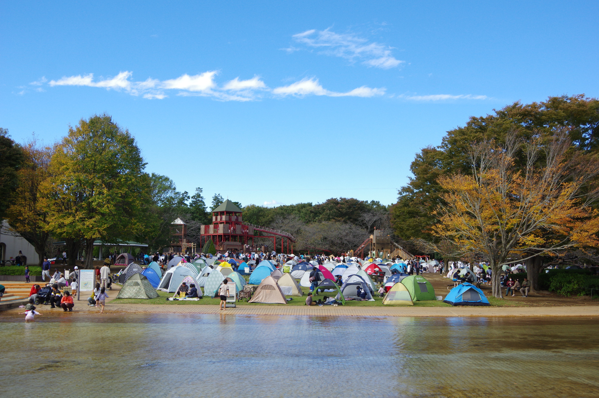 芝生広場にはたくさんのテントが並びます