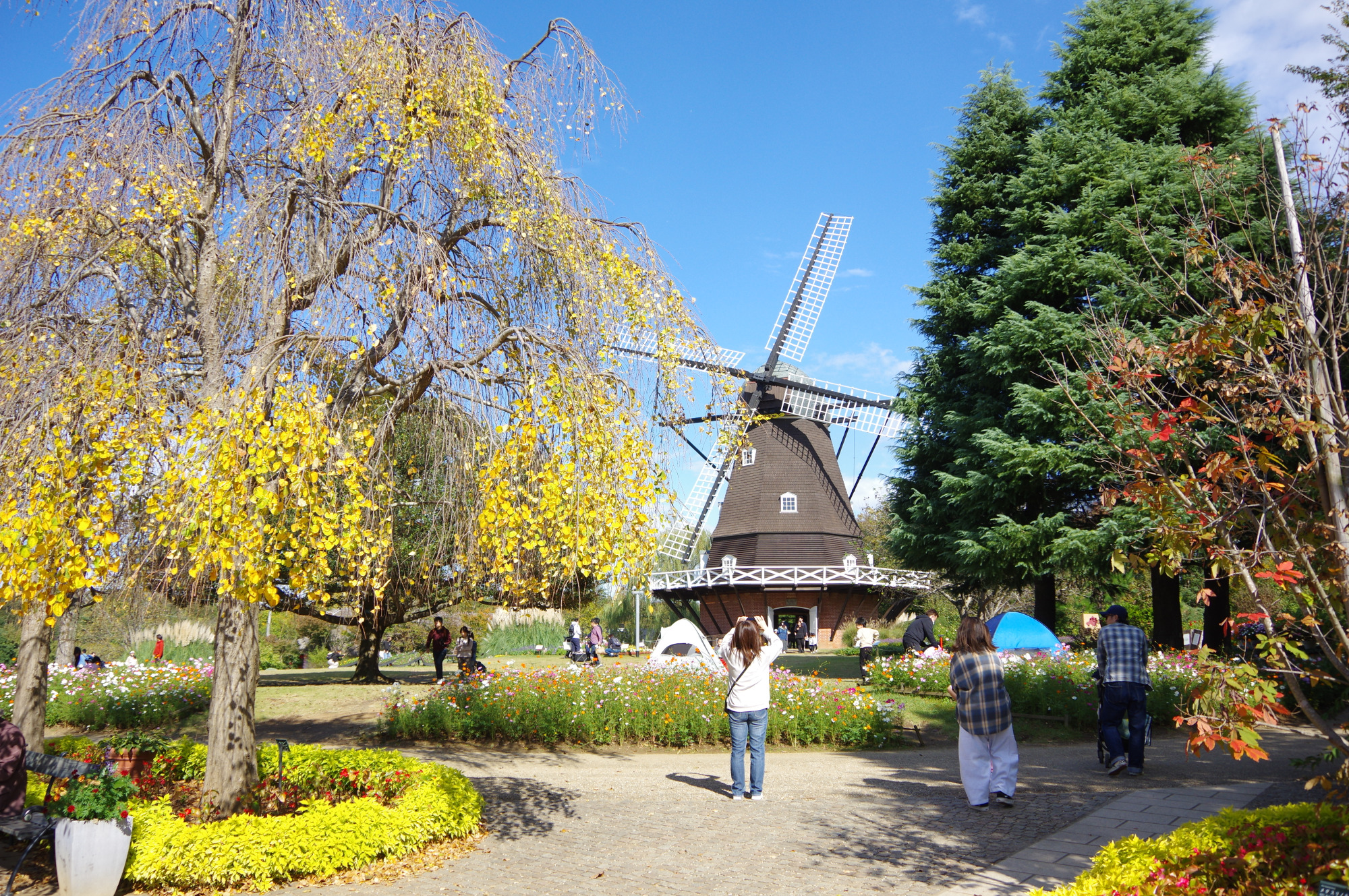 四季折々の花々が楽しめます