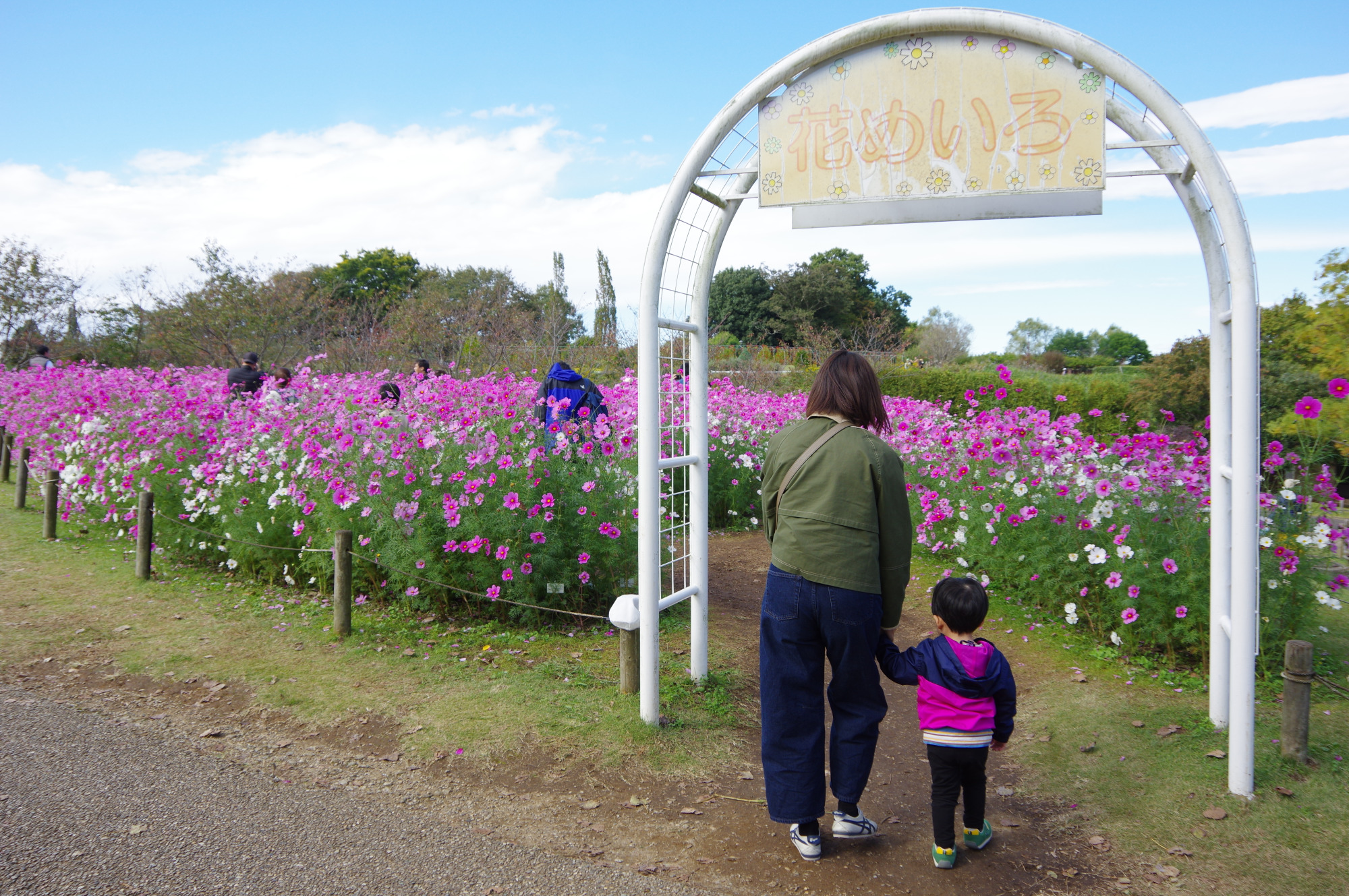 大人気の「花めいろ」