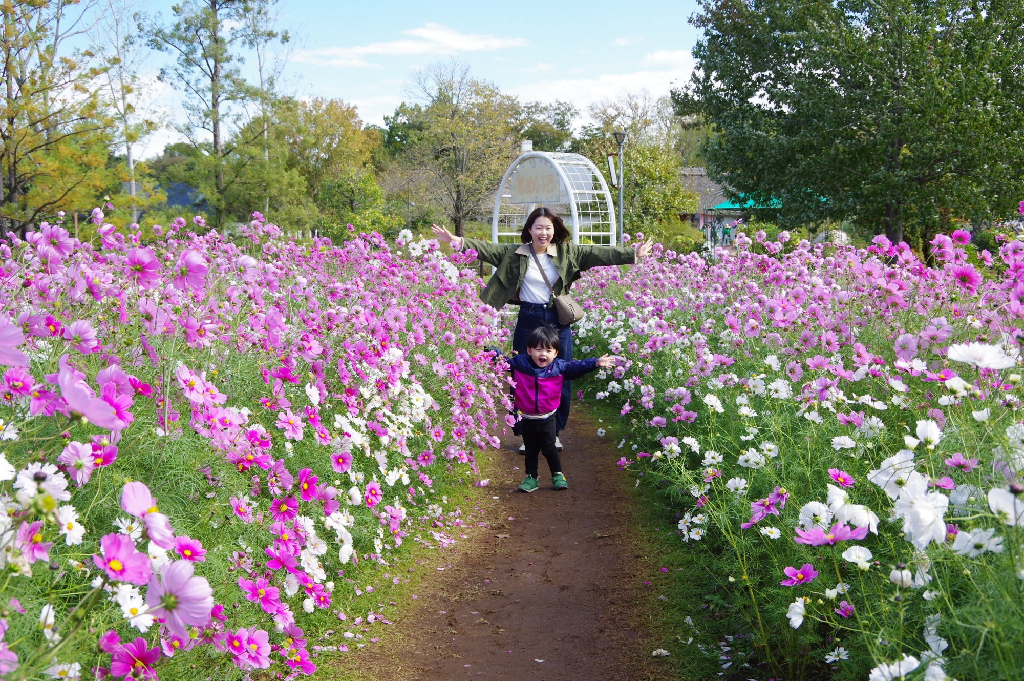 一面の花畑に迷い込んだような空間