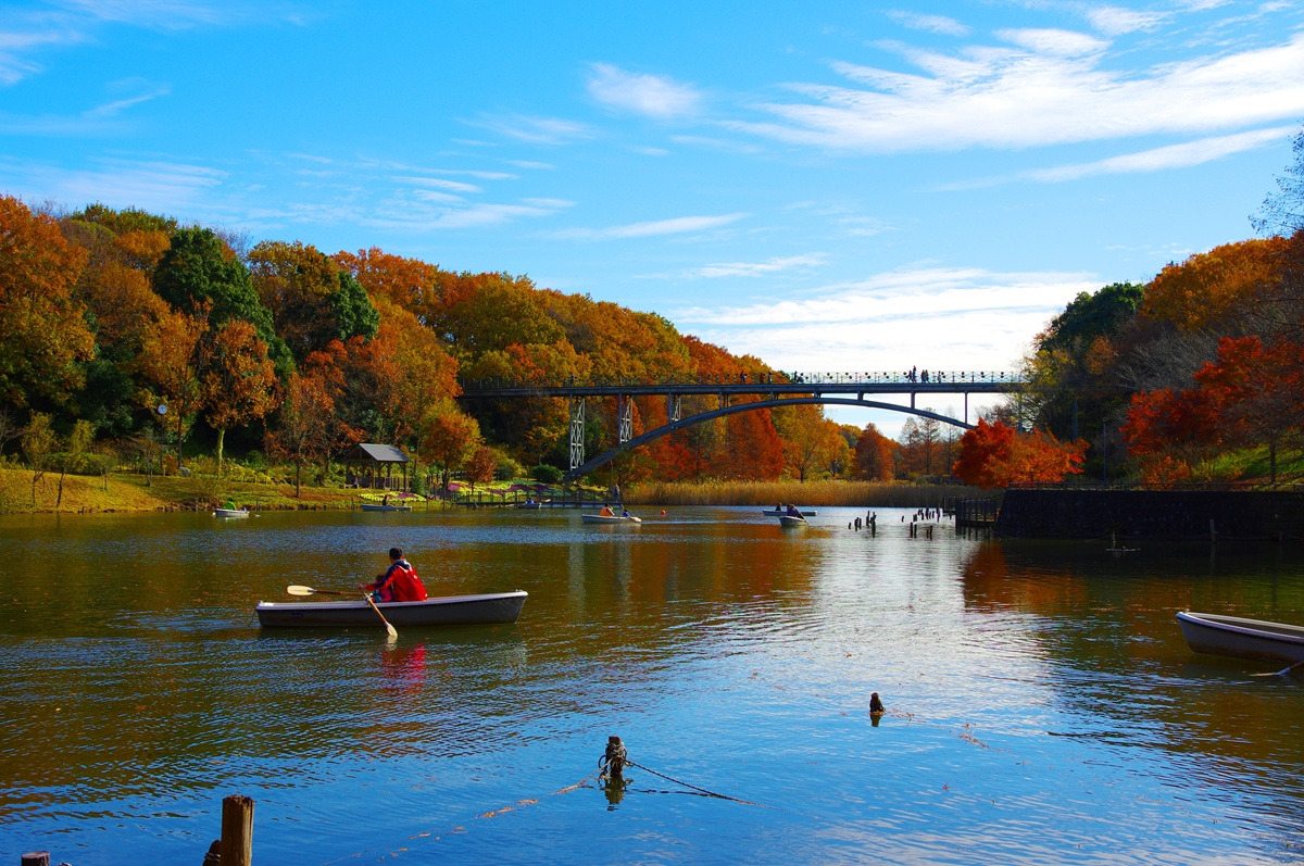 「太陽の池」でボート遊びもおすすめ