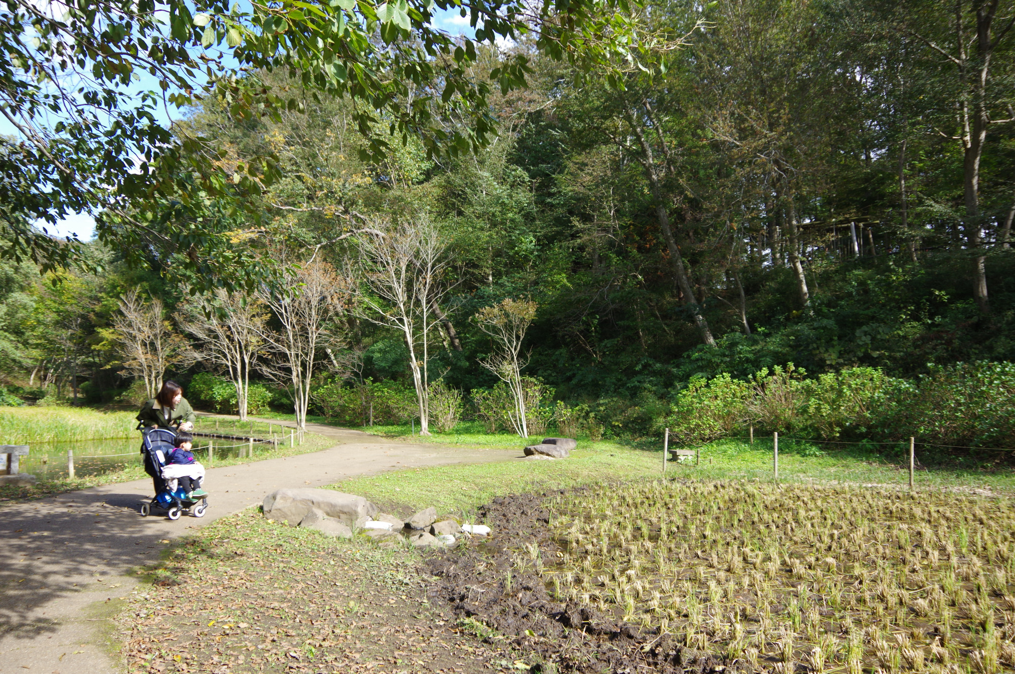 里山の風景が広がる「自然体験ゾーン」