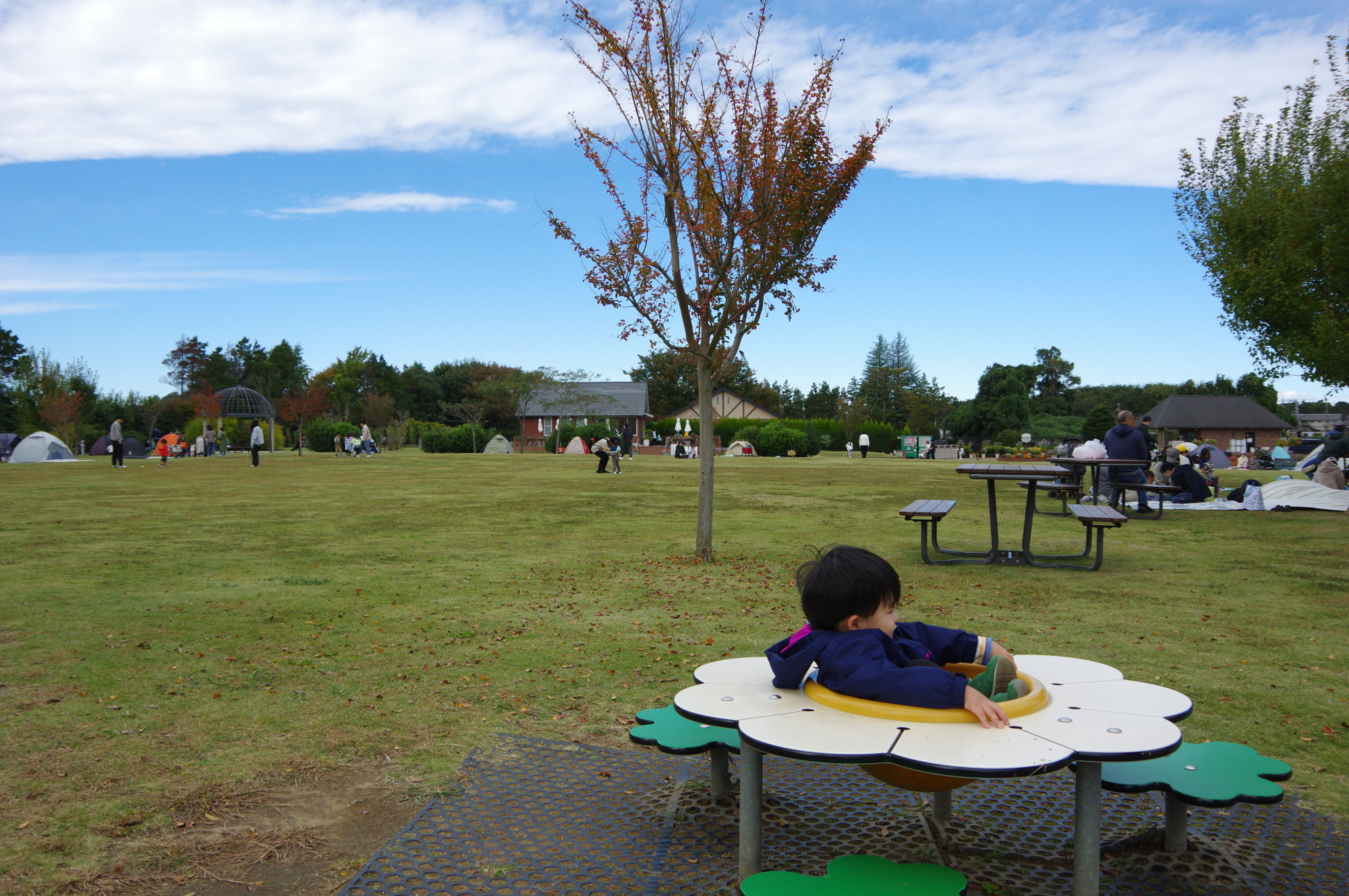 公園スタッフおすすめのモデルコース