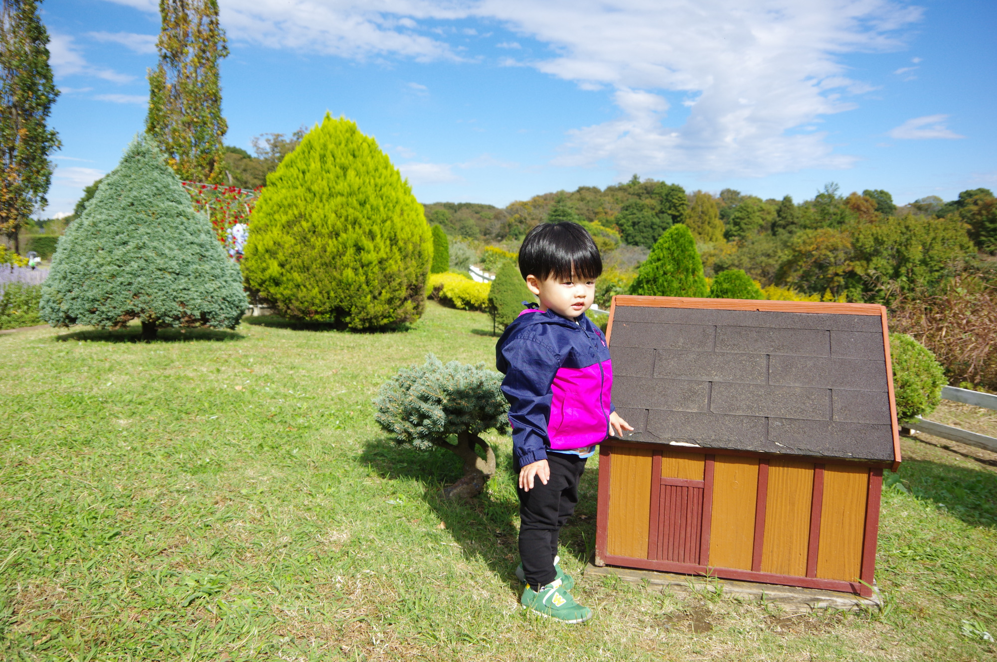 小さなお家が並ぶ「ミニチュアガーデン」