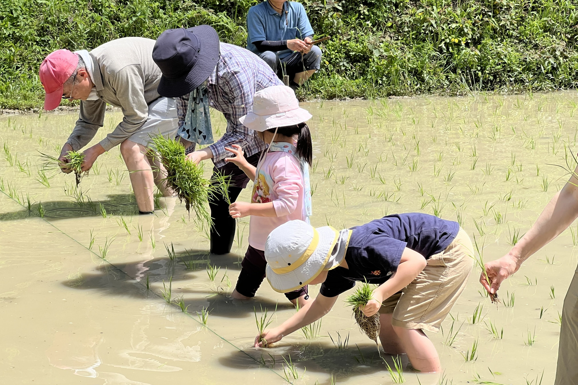 棚田の景色を次世代につなぐ「大山千枚田保存会」
