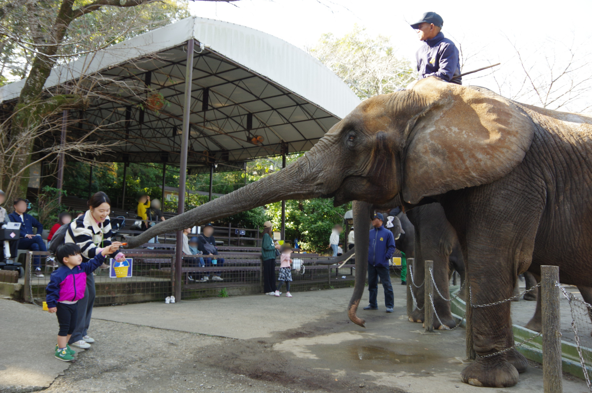 ぞうさんのおやつタイム