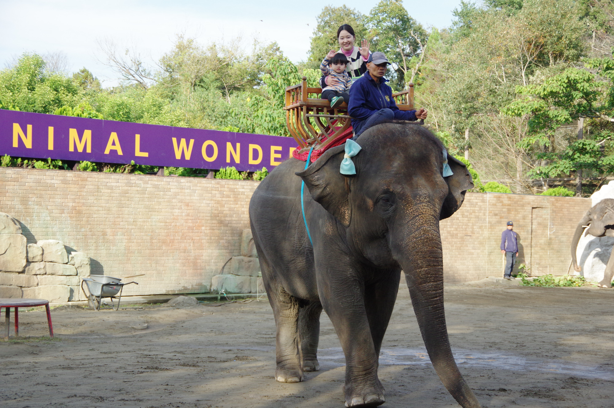 ぞうさんライド（要予約）
