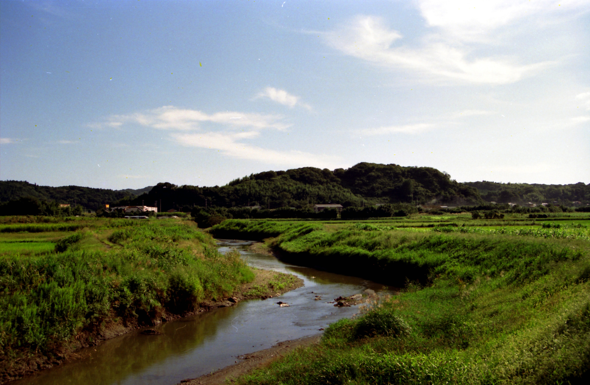 里見義通、義豊が安房支配の拠点とした稲村城跡（館山市立博物館提供）