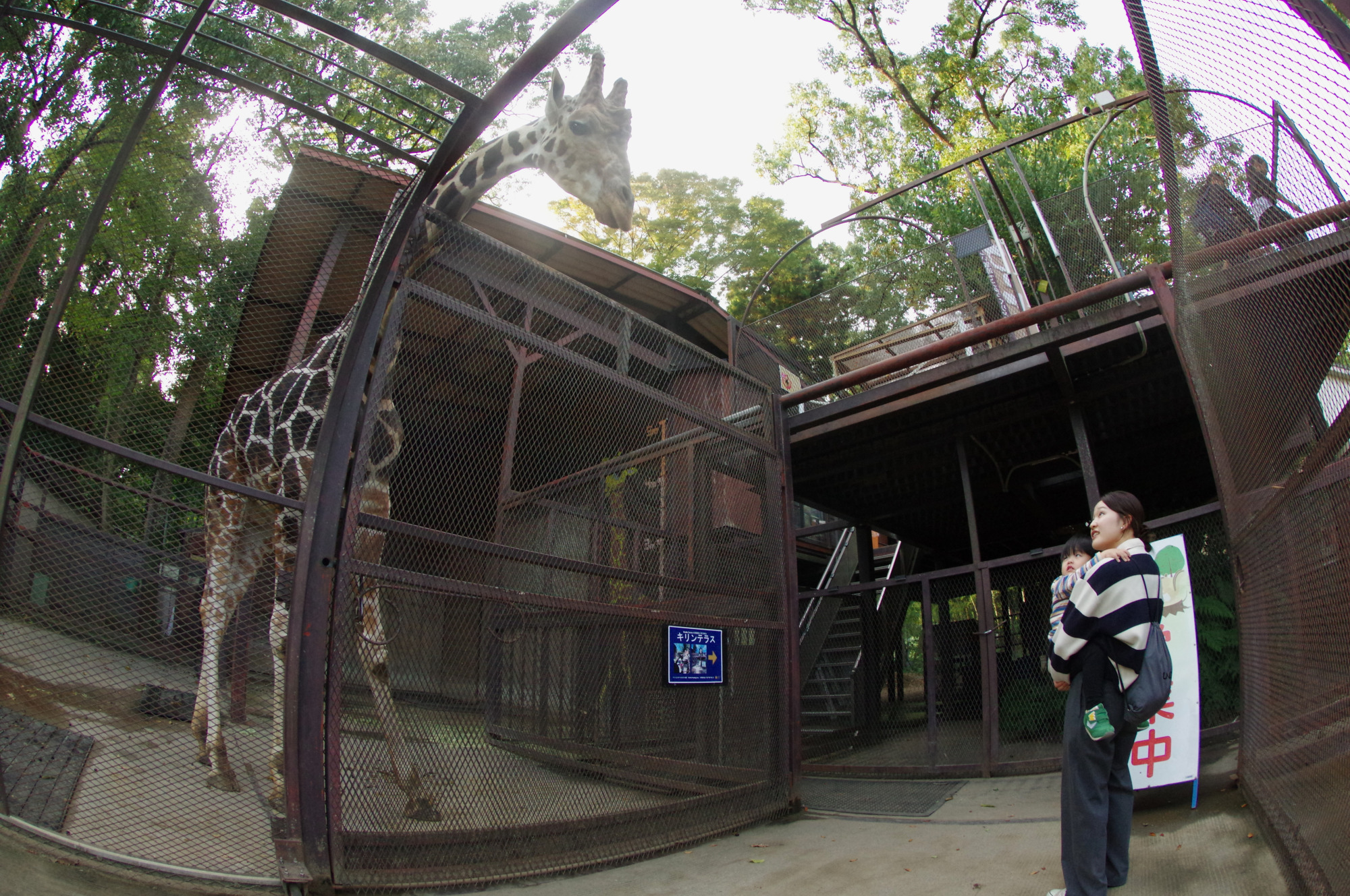 サユリワールドエリア