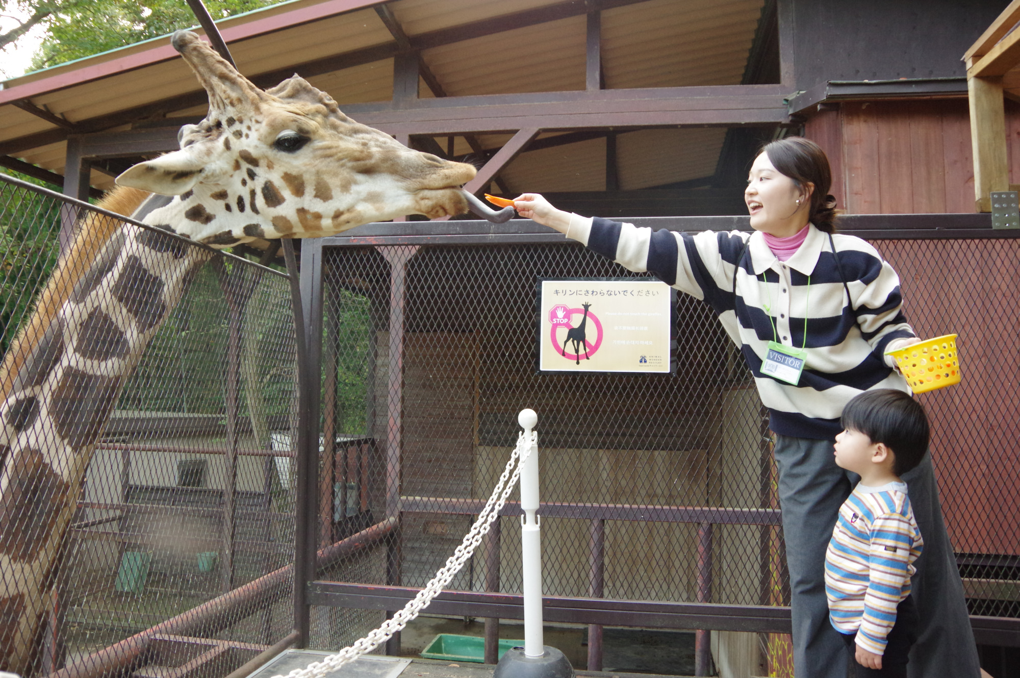 大迫力のキリンテラス