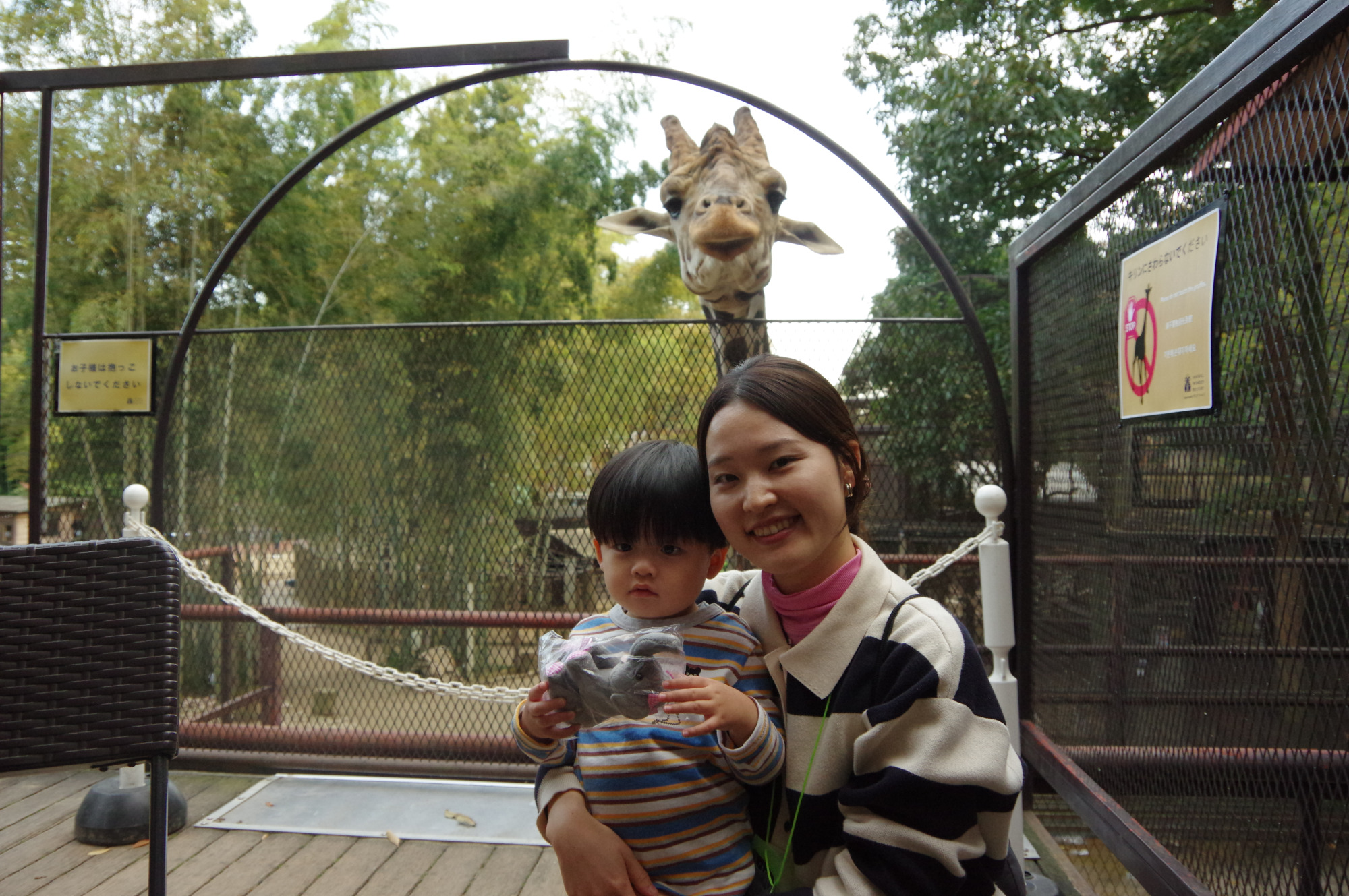 キリンさんと記念撮影できるかも？