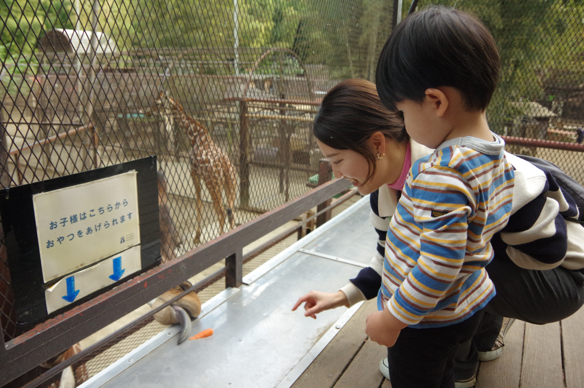 子ども向けのエサやり場もあります。