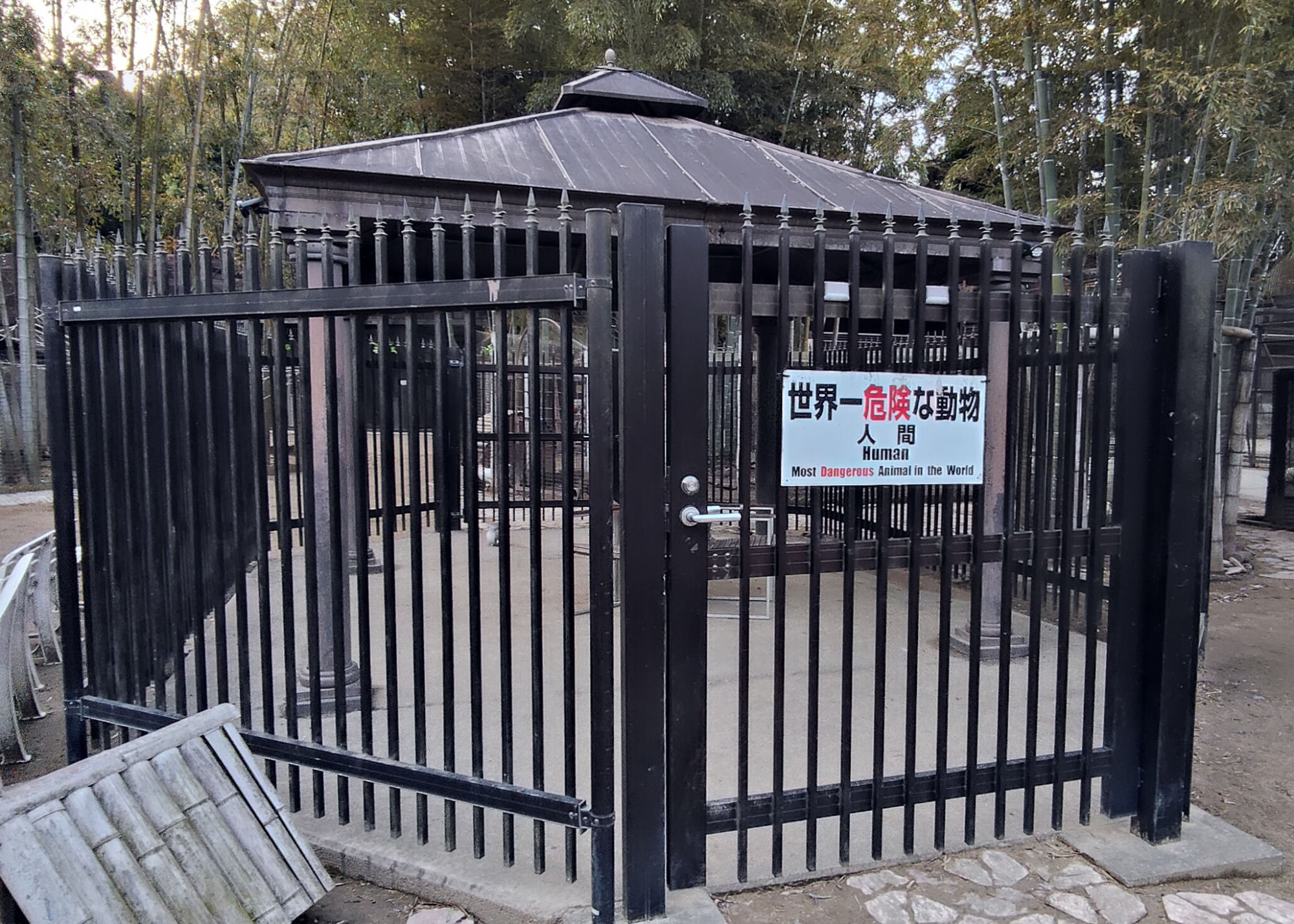 実は一番危ないのは人間？