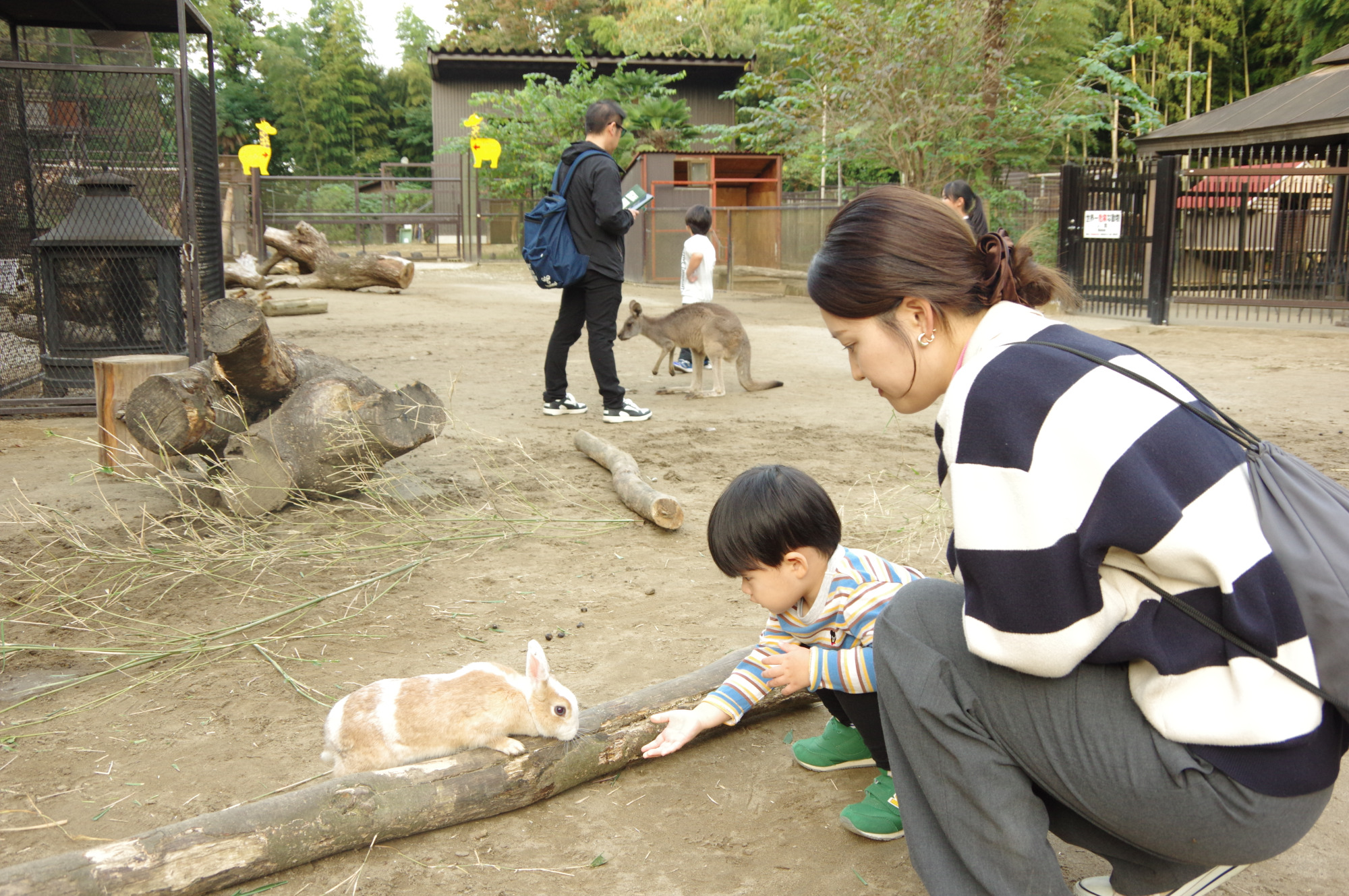 やさしくふれあいを楽しみましょう。