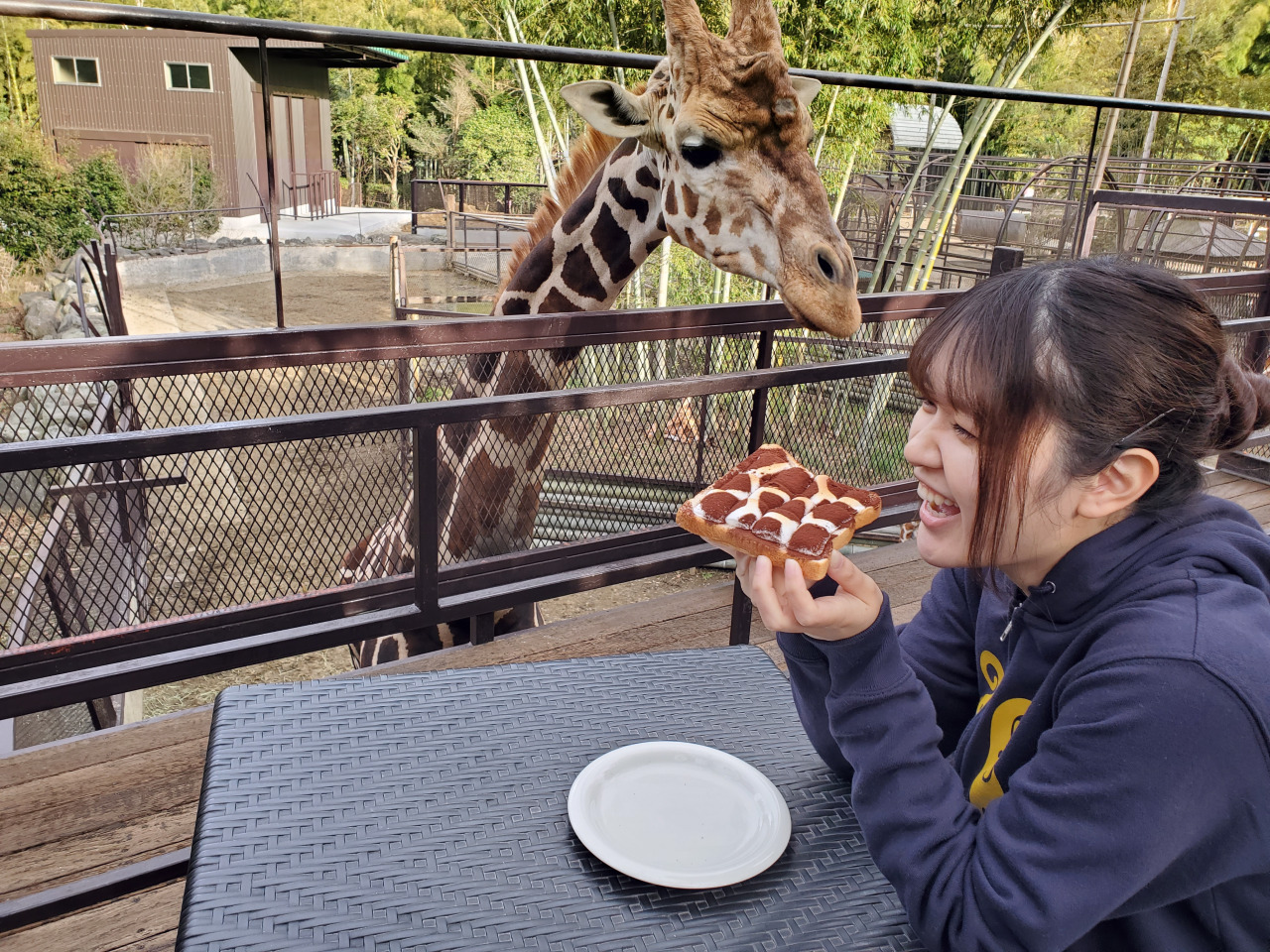 キリンさんを眺めながら休憩しよう