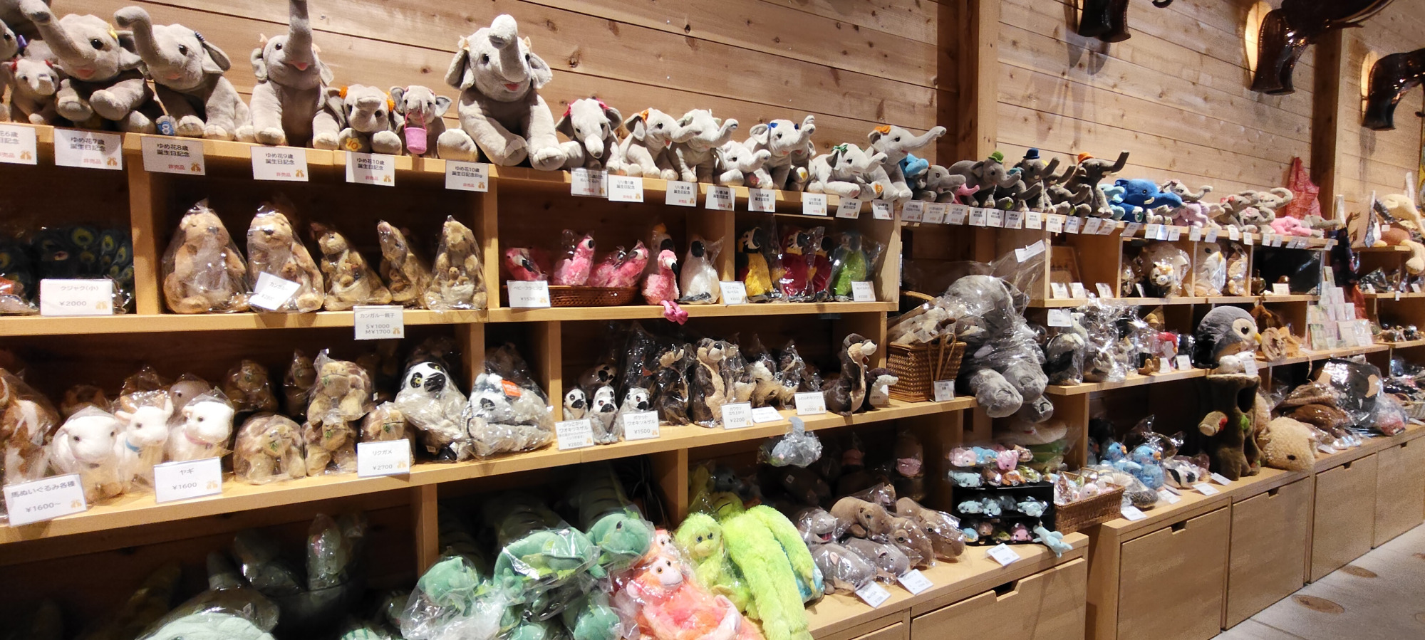 ぬいぐるみがずらりと並びます。