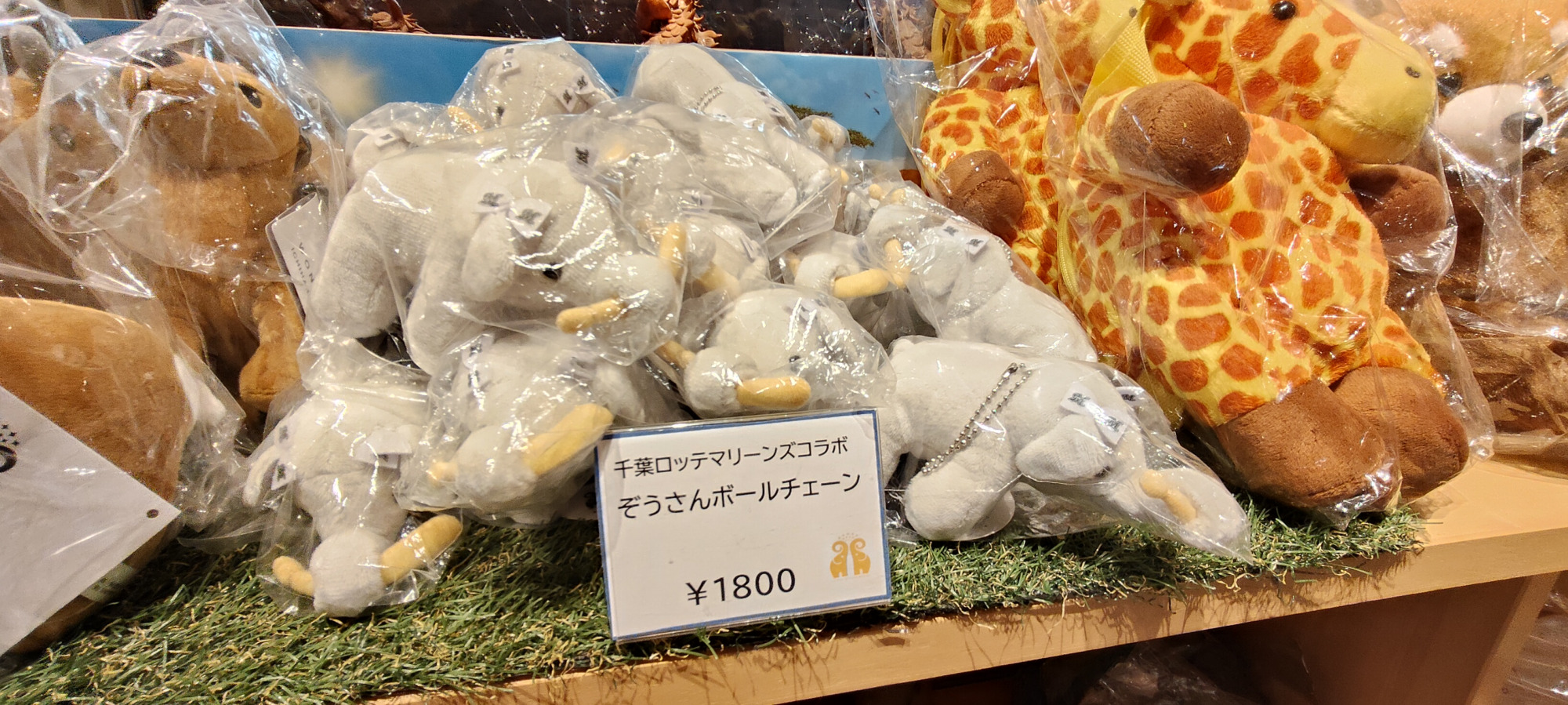 コラボグッズも充実しています！