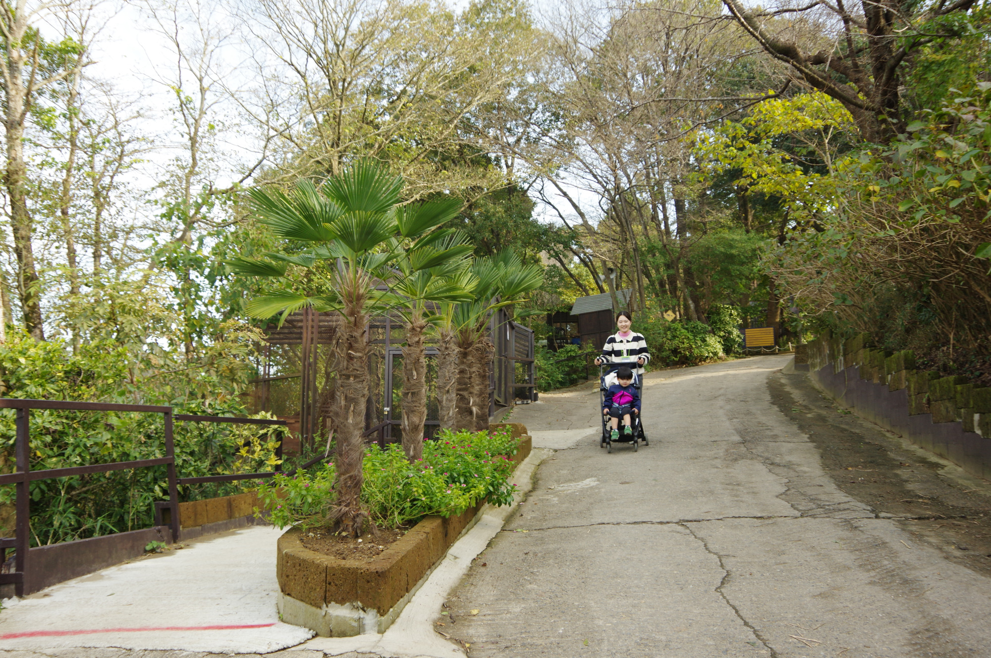 園内にはスロープも完備されています。
