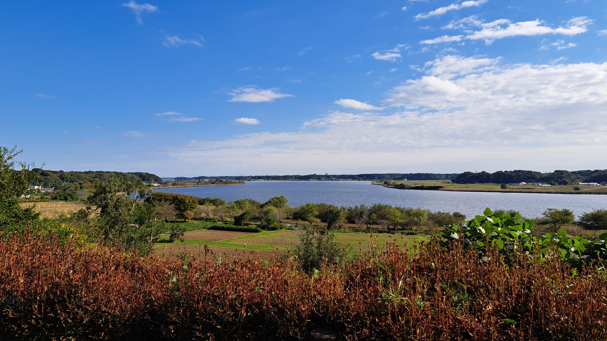 高野山桃山公園からの眺望