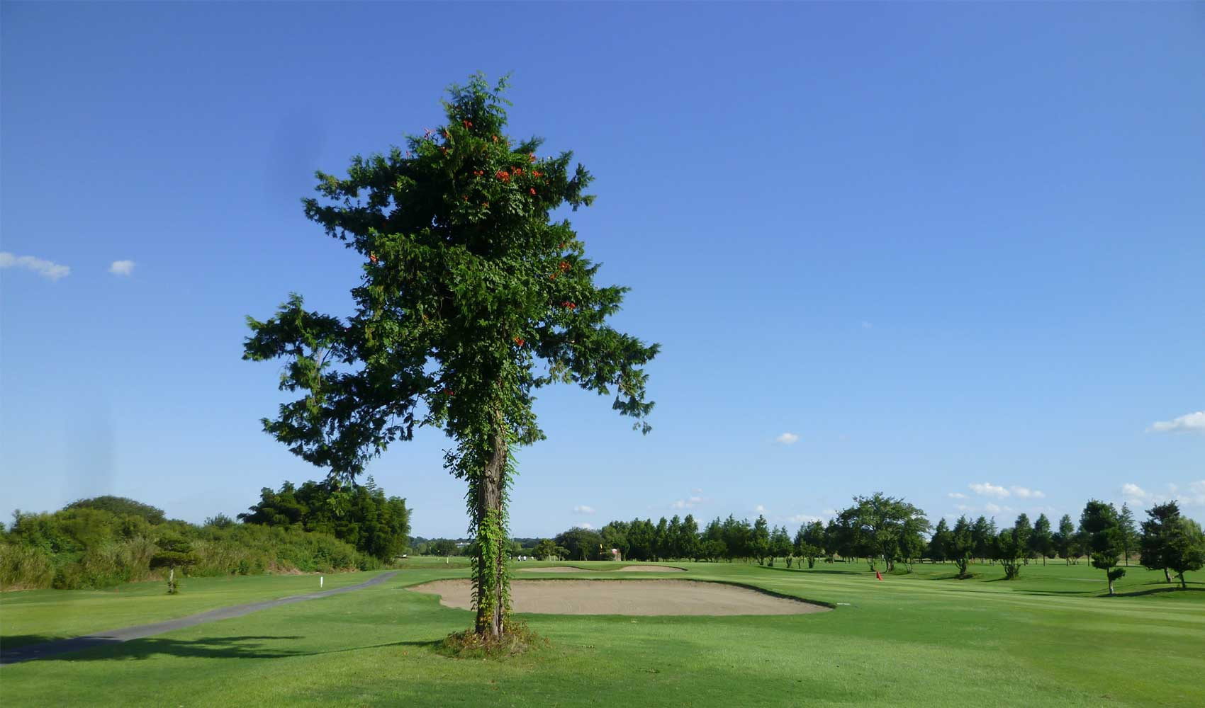 東我孫子カントリークラブ
