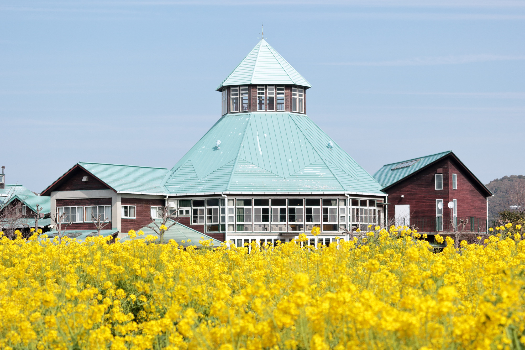 南房総には個性豊かな「道の駅」がたくさん！