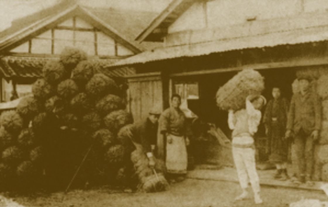 1909(明治42)年頃の吉崎酒造