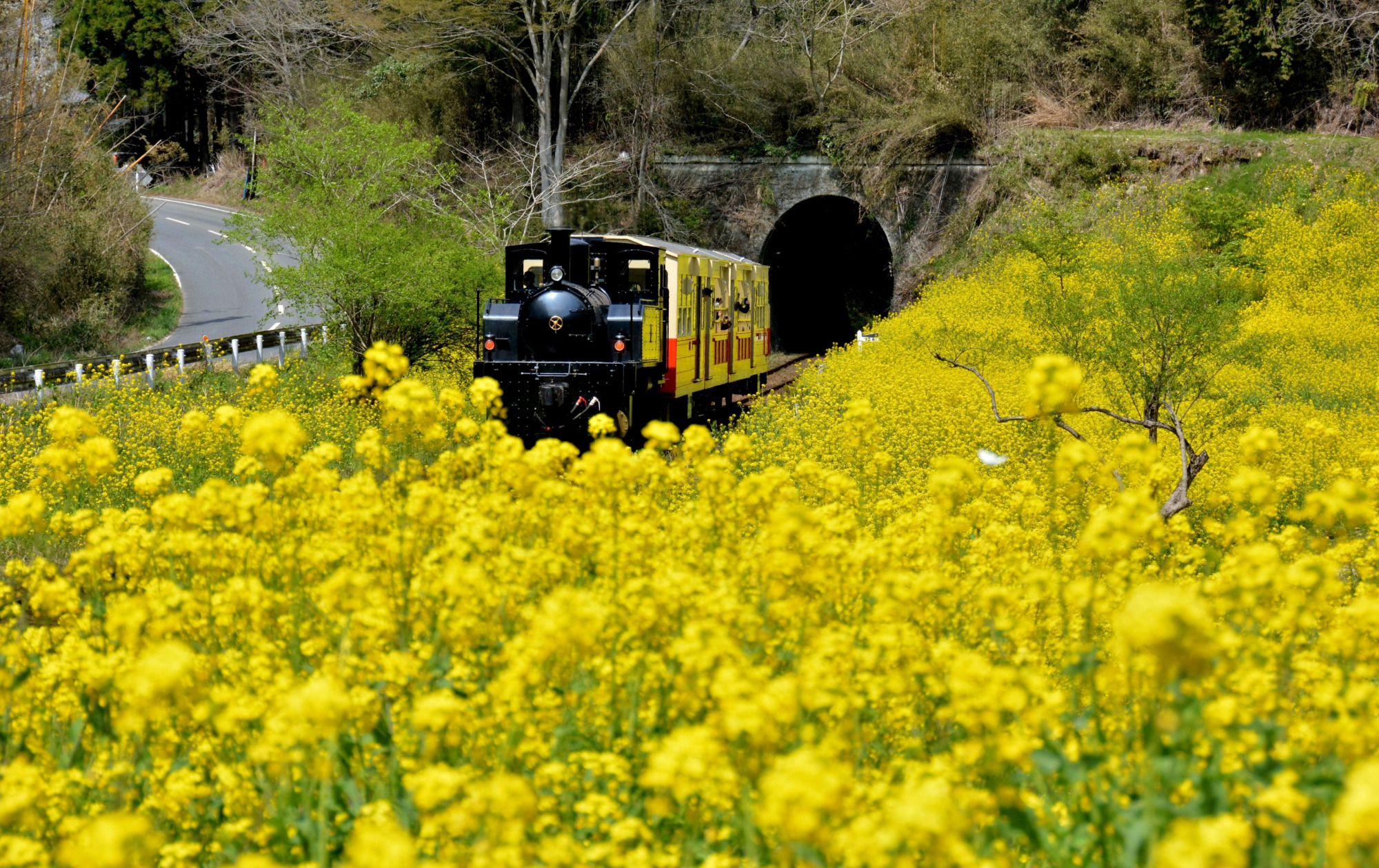 次世代につなぐ「のだっぽり」の景色＠月崎駅～上総大久保駅