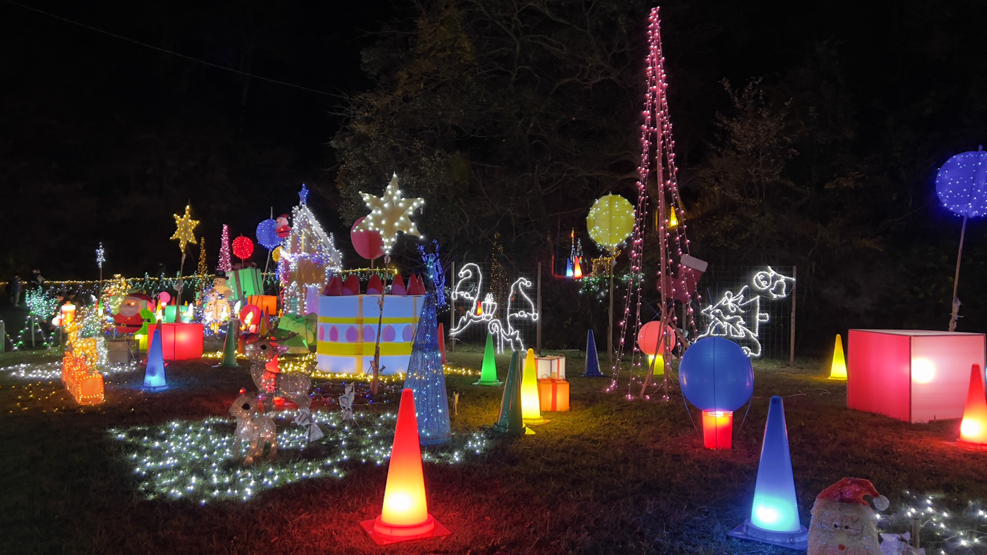 小湊鐡道に乗って冬の穴場スポットを巡る日帰りモデルコース