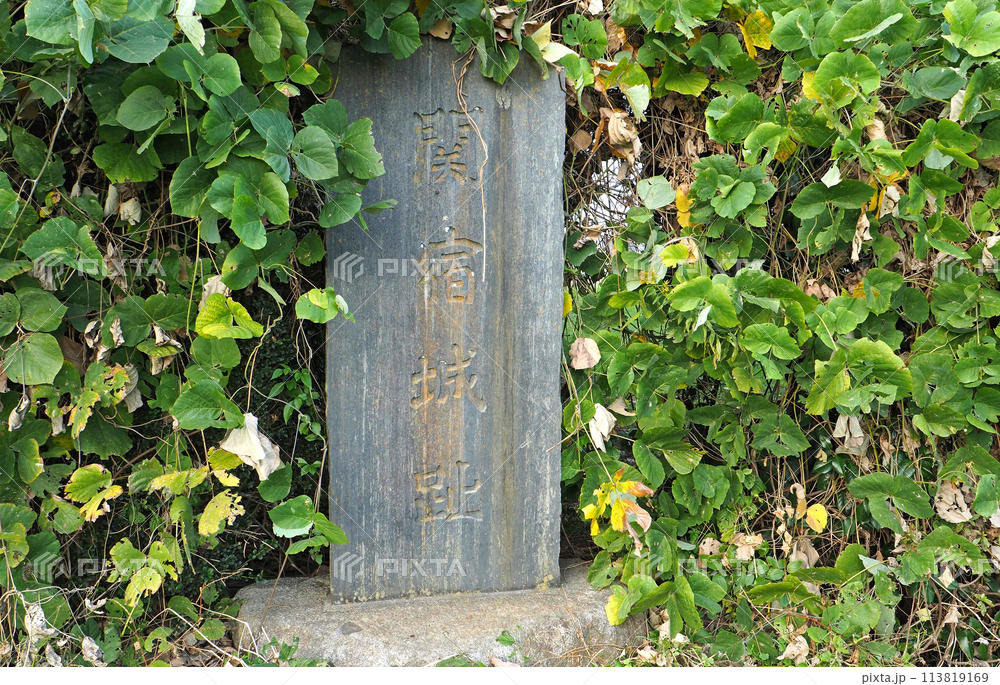 関宿城の歴史