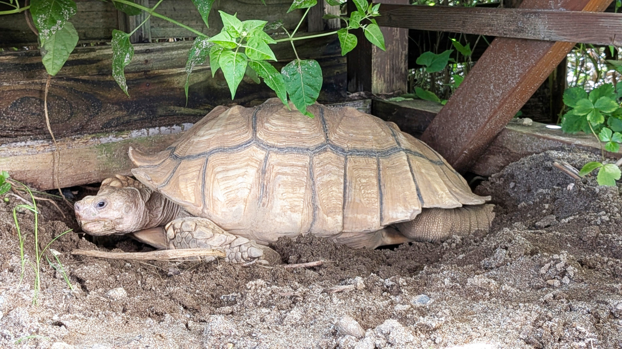 マリブポイントのどこかで出会えるかも？