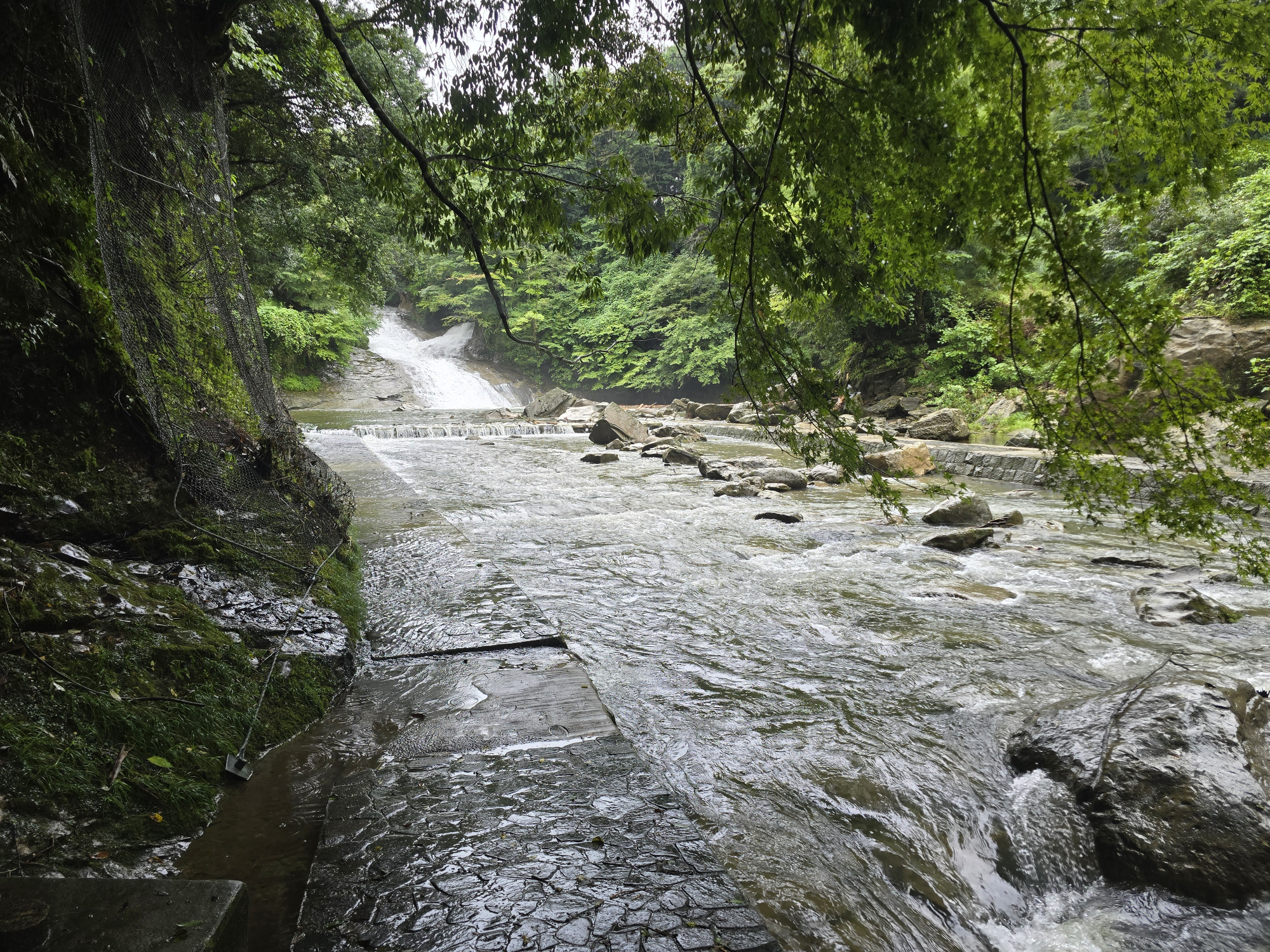 雨の影響で水量が増えていました