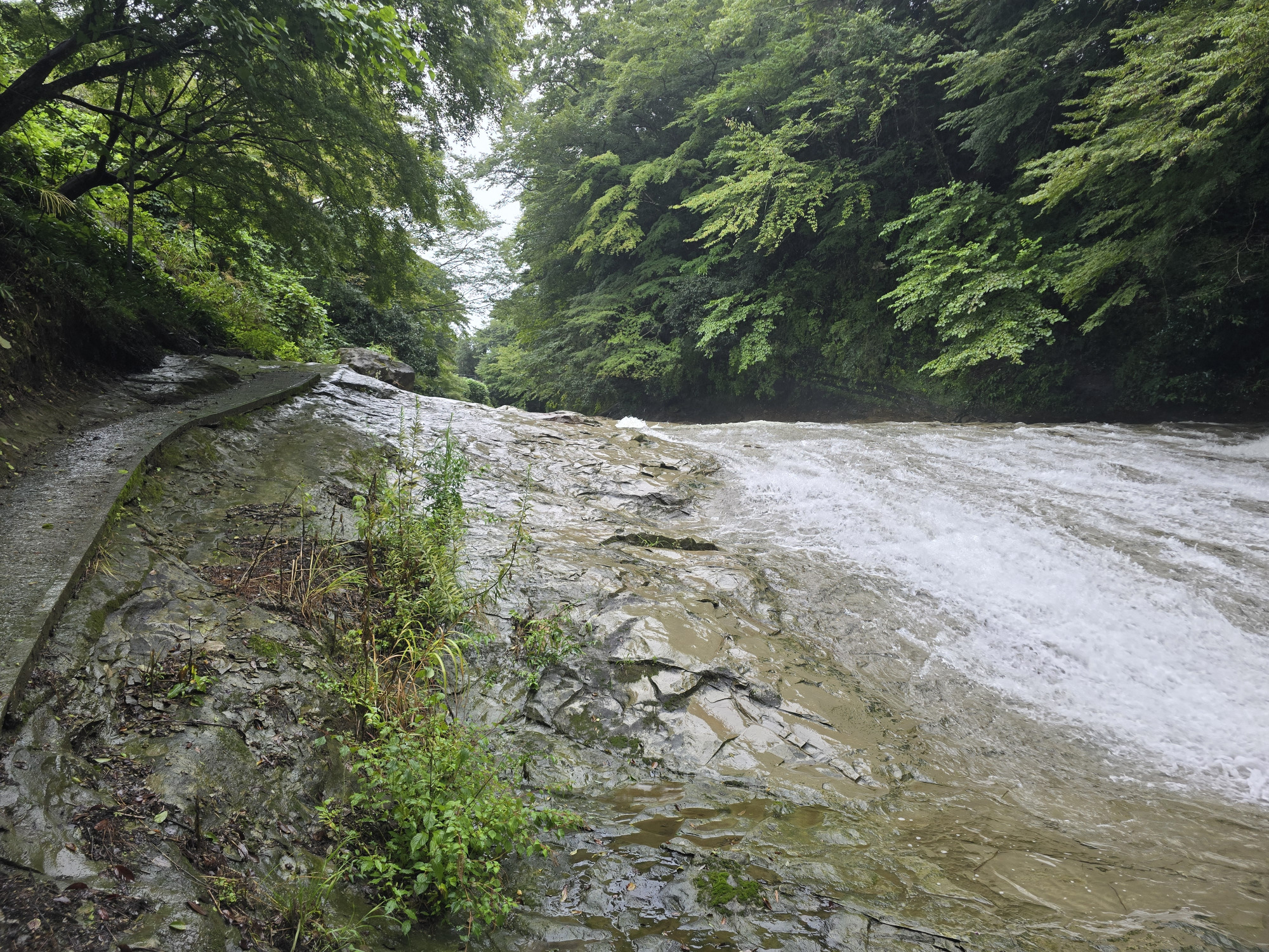 雨の影響で水量が増えていました
