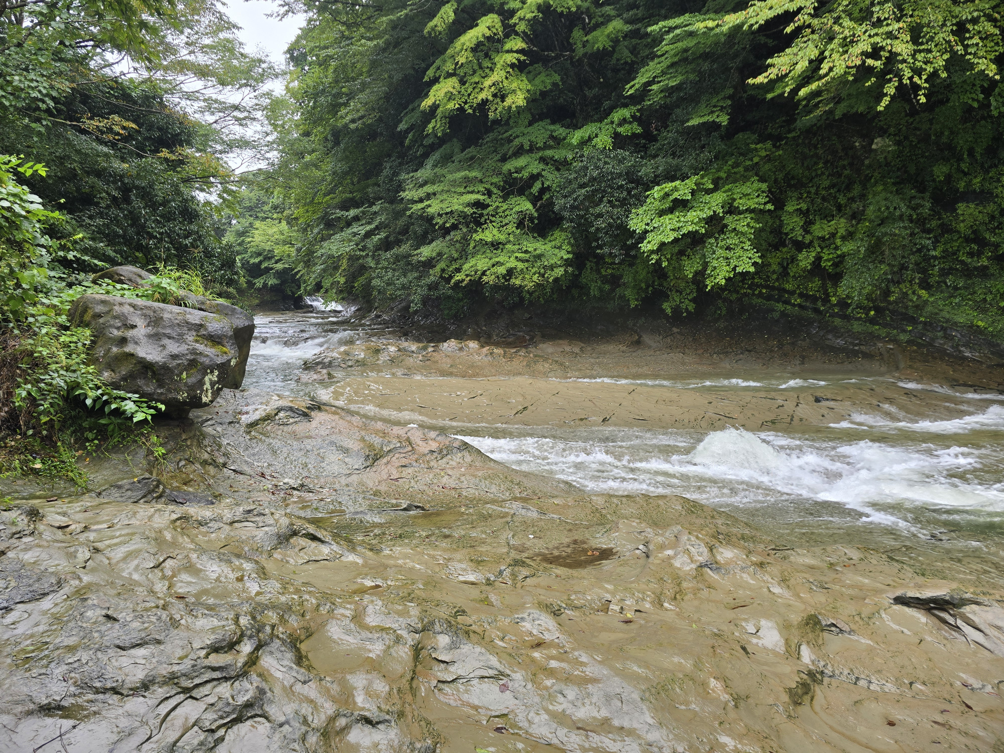 雨の影響で水量が増えていました
