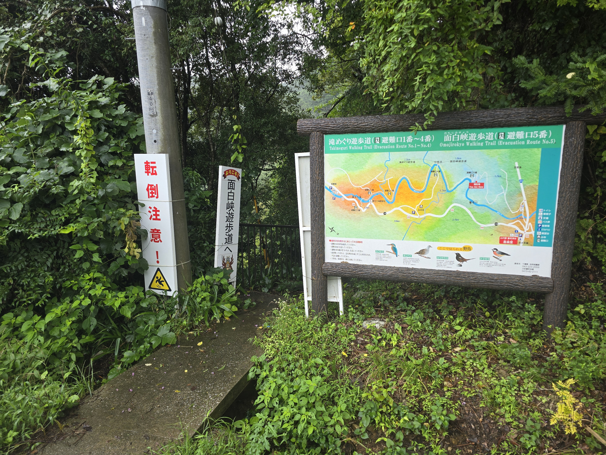 「面白峡遊歩道」岩井原側降り口（現在は通行できません）