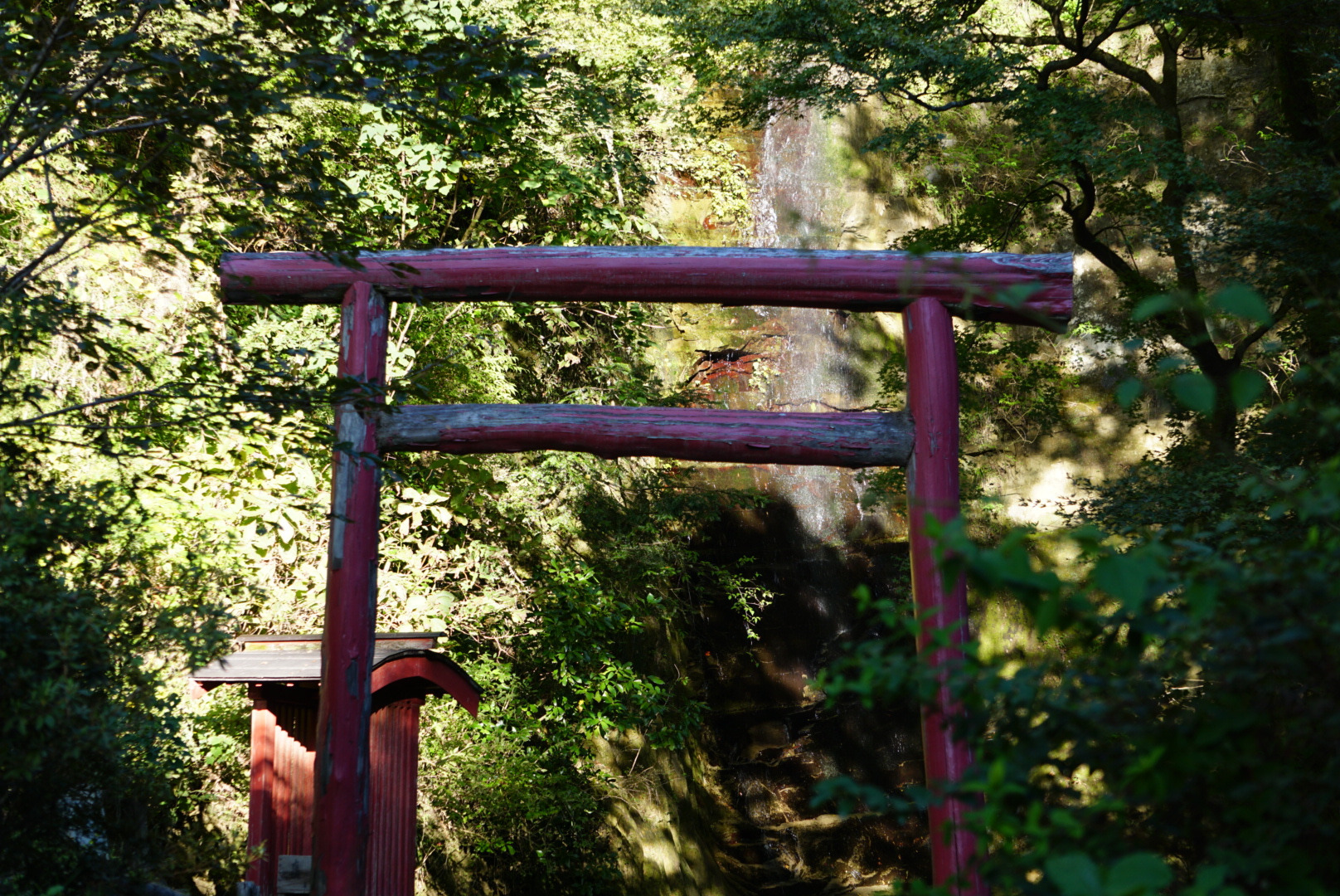 鳥居の奥に見える「金神の滝」
