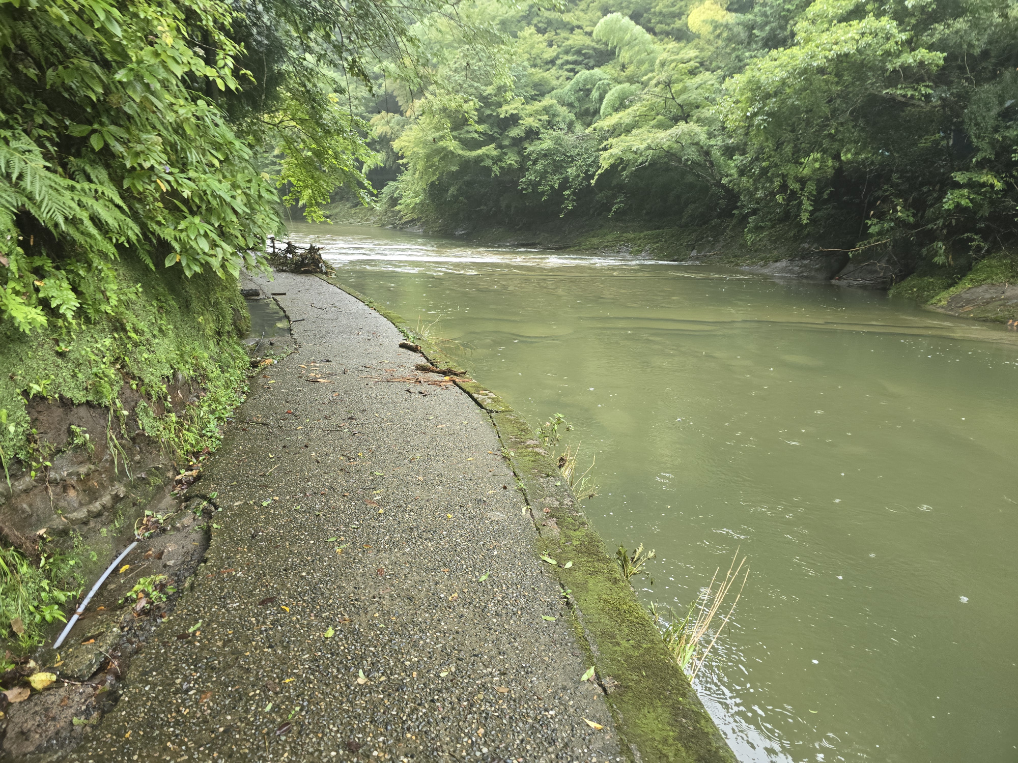 雨の影響で水量が増えていました