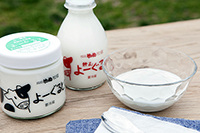 成田ゆめ牧場こだわりの牛乳を使用した 牧場自家製ヨーグルト