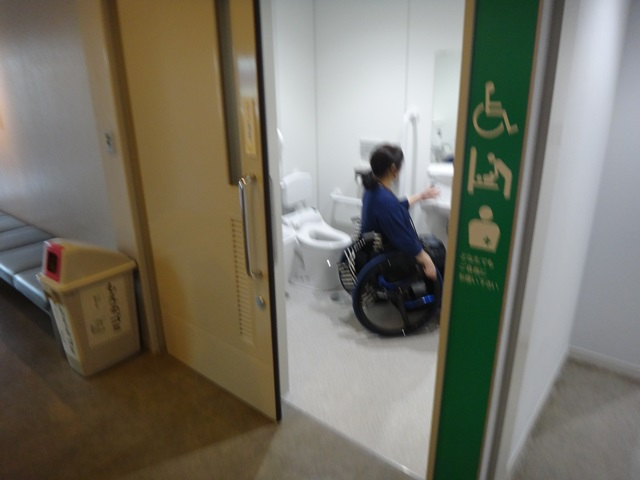 1階のトイレ：扉の形態