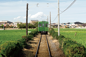 銚子市／キャベツ畑を走る銚子電気鉄道