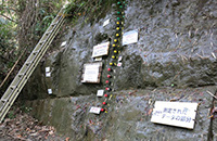 チバニアンガイド<br>主な名所：チバニアン