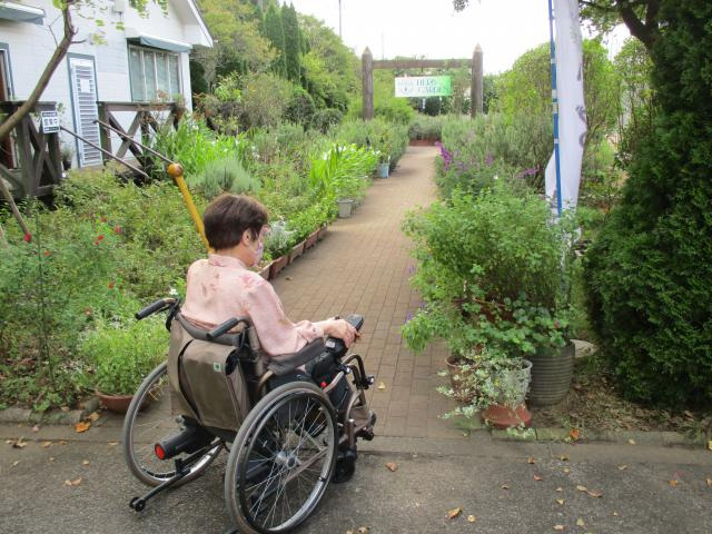 駐車場から入口まで
