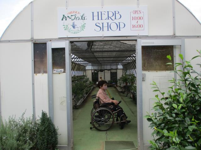 駐車場から入口まで