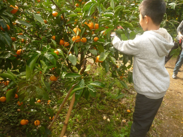 千倉オレンジセンター（南房総市）