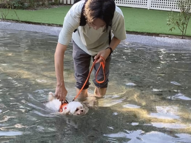 16:00　ドッグラン&ドッグプールでひと遊び