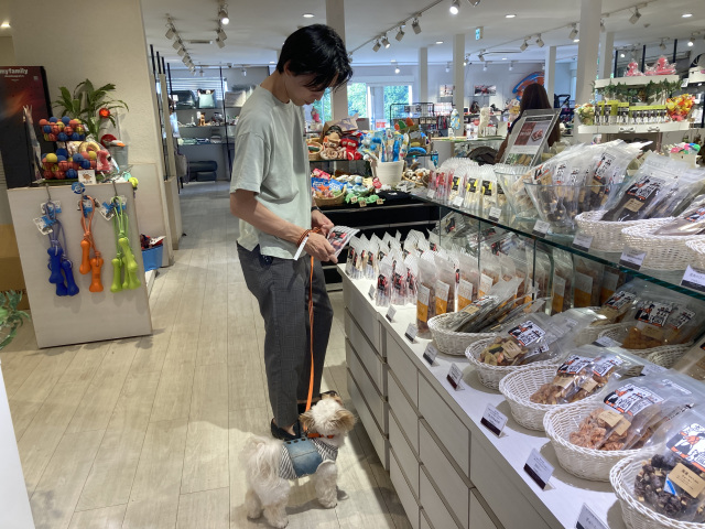 17:30　愛犬と一緒にお土産選び