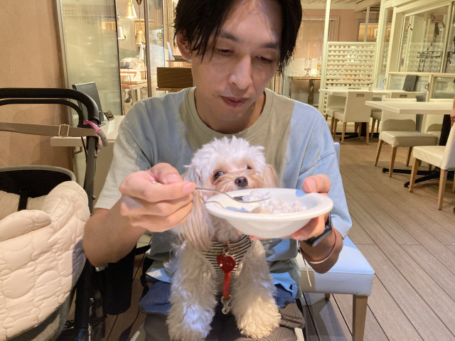 19:00 夕食（レイクフォレストでビュッフェ）