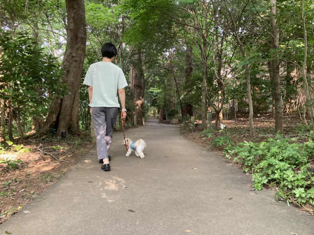 8:00　朝のお散歩（四季の花径）