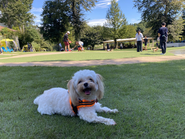 10:00　チェックアウト後、再びドッグランへ