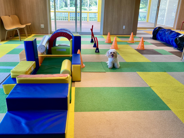 14:30　室内ドッグラン